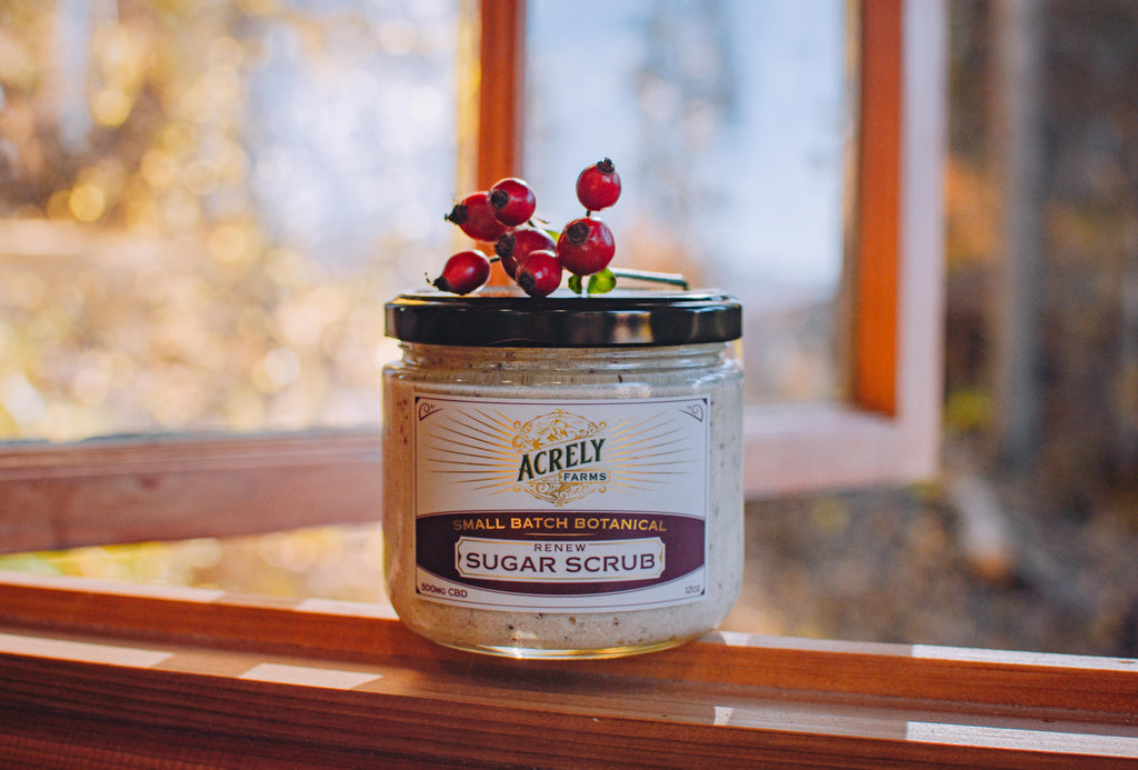 Mini Renew CBD Sugar Scrub